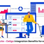 Integration of E-commerce Platform