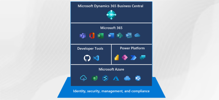 Integration with Microsoft 365 Suite